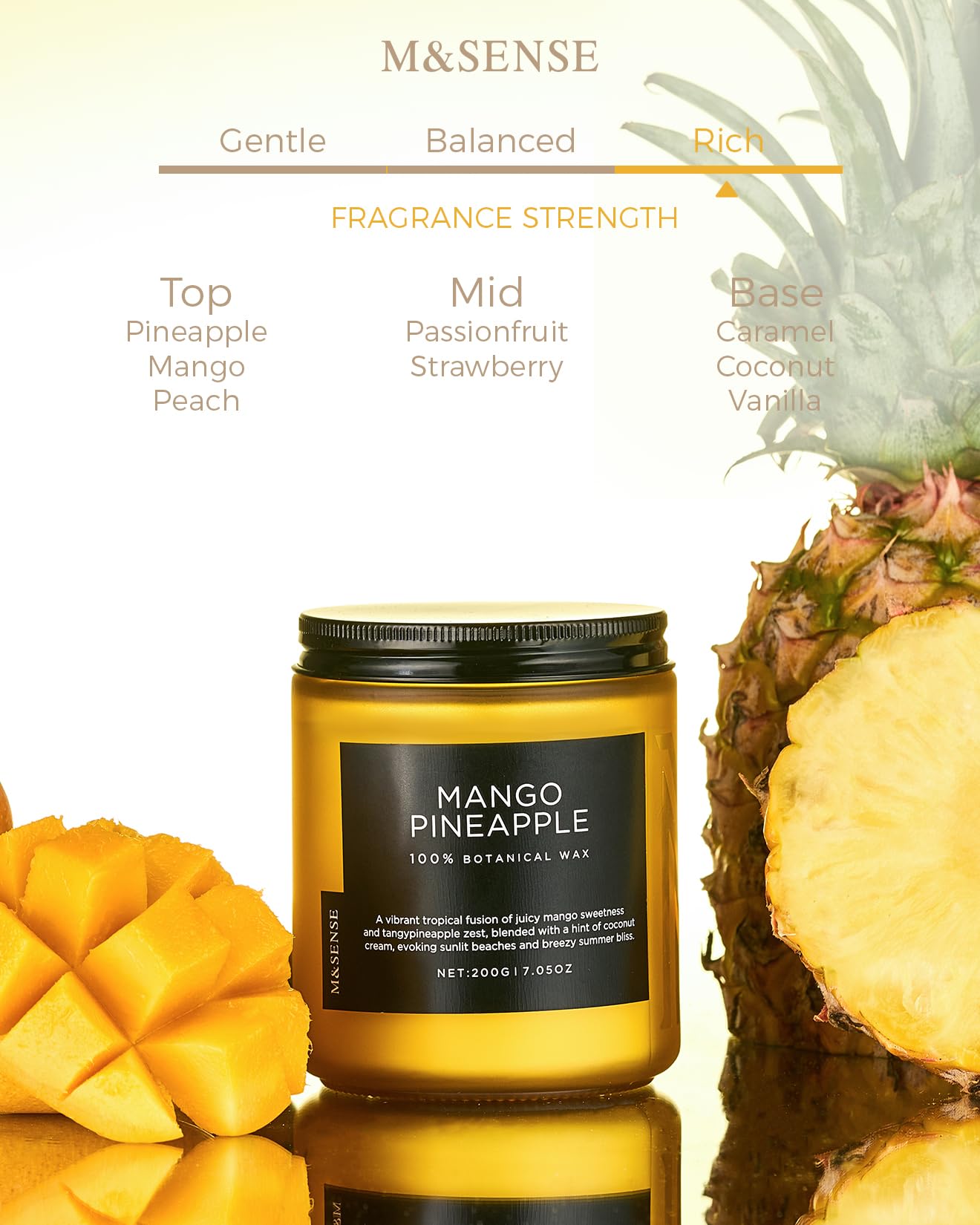 M&SENSE Summer's Night Home Scented Candles, 11.6oz Natural Soy Wax 70 Hrs | Long Lasting