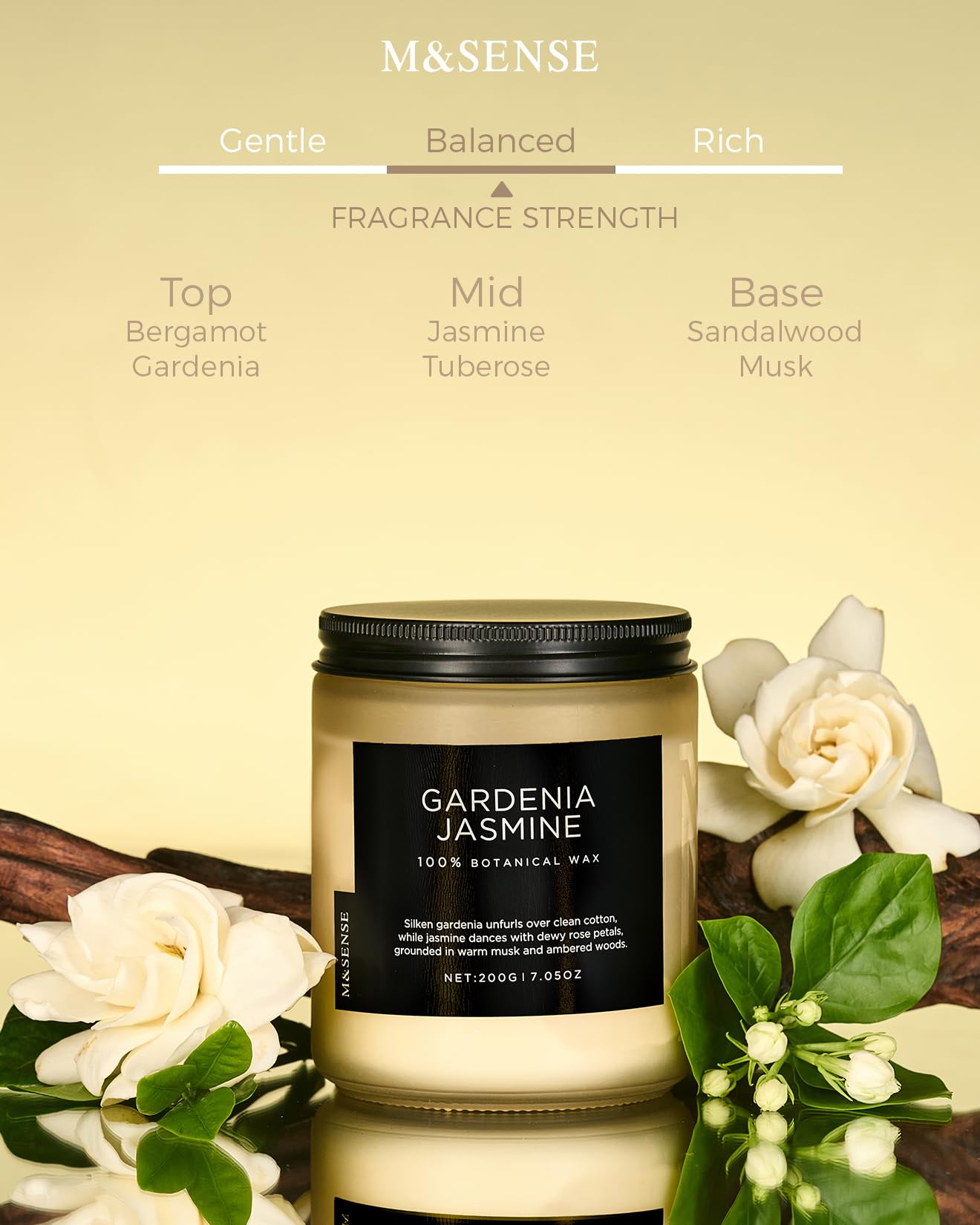 M&SENSE Summer's Night Home Scented Candles, 11.6oz Natural Soy Wax 70 Hrs | Long Lasting
