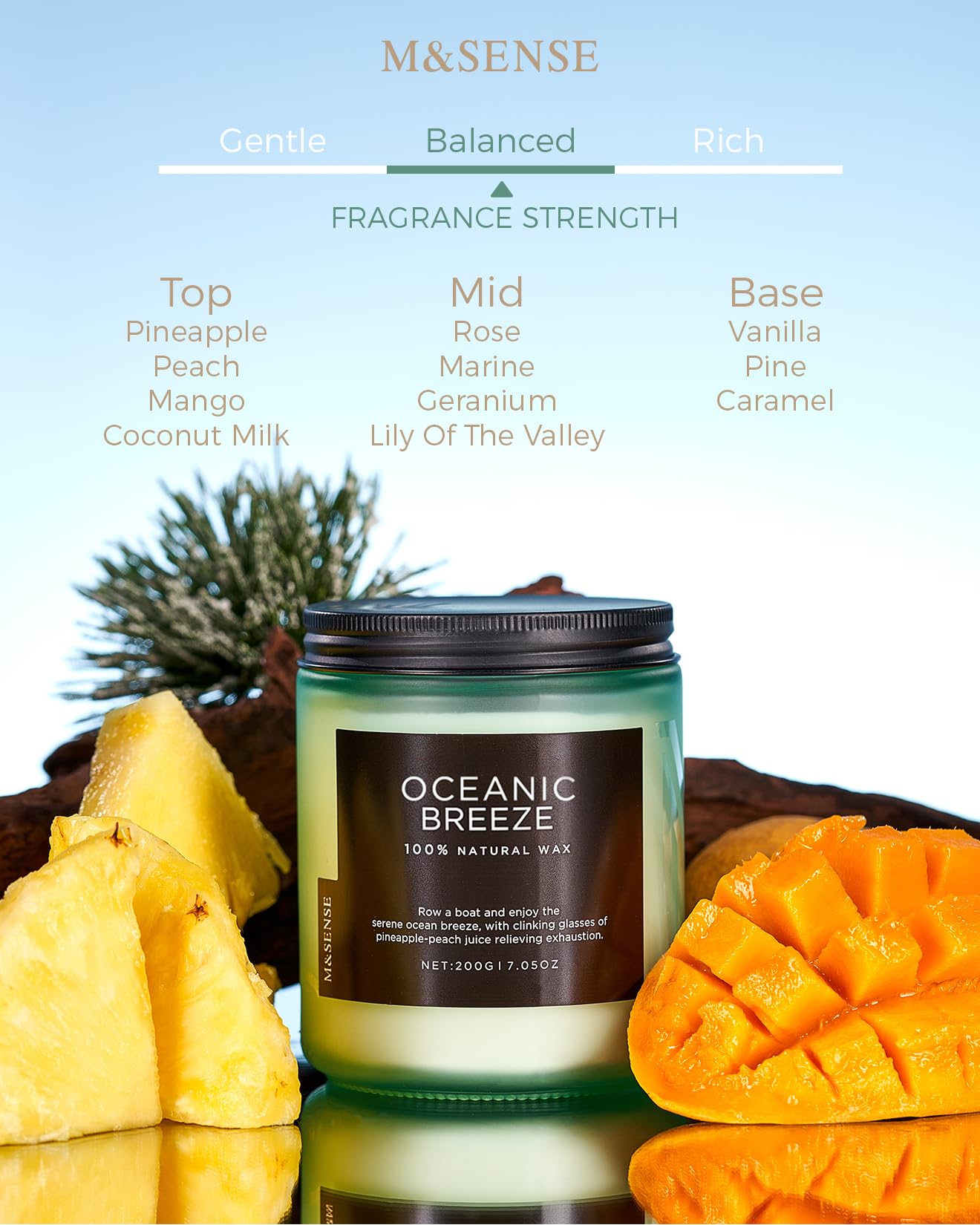 M&SENSE Summer's Night Home Scented Candles, 11.6oz Natural Soy Wax 70 Hrs | Long Lasting